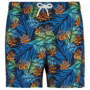 Maillot de bain homme Regatta Loras Swim Short