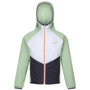 Veste enfant Regatta Kielder HybridVII green Quiet Green/White