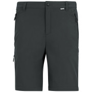 Pantalon homme Regatta Anti-Insect Travel Light Z/O Trousers