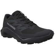 Chaussures femme Salomon Alphaglide Gore-Tex