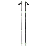Bâtons de ski alpin Black Diamond Expedition 3P Ski Poles noir/ beige Desert Sage