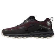 Chaussures femme Mizuno Wave Daichi 6 Gtx