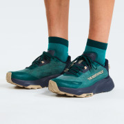 Chaussures de running hommes The North Face M Altamesa 300 V2