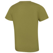 T-shirt homme Alpine Pro Noger