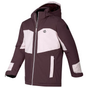 Veste enfant Dare 2b Rip It Jacket Hucklbr/PkHz
