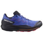 Chaussures de running hommes Salomon Pulsar Trail Gtx bleue / noir Dazzling Blue