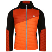 Veste homme Dare 2b Touring Hybrid orange Puffins Orange/Rooibos Tea