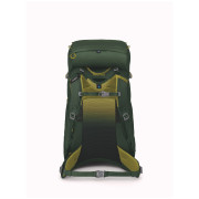 Sac à dos enfant Osprey Ace 38