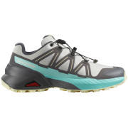Chaussures femme Salomon Speedcross Peak gris / bleu Icicle / Castlerock / Aruba Blue