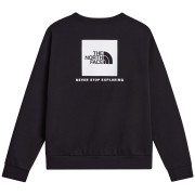 Sweat-shirt homme The North Face M Evolution Box Nse Regular Crew