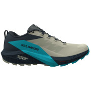 Chaussures de running hommes Salomon Sense Ride 5 gris / bleu Alfalfa