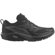 Chaussures de running femme Salomon Sense Ride 5 Gore-Tex