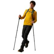 Pantalon softshell homme Regatta Fenton Softshell Trousers