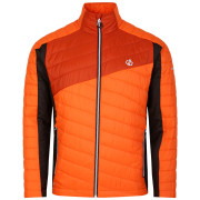 Veste homme Dare 2b Descending Jacket orange Puffins Orange/Rooibos Tea