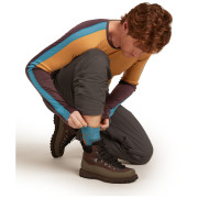 Chaussettes chaudes pour homme Icebreaker Men Merino Hike+ Heavy Crew