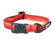 Collier pour chien Mountain Paws Waterproof Dog Collar orange Orange