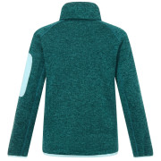 Sweatshirt enfant Regatta Junior Newhill DrkForGlacGr