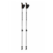 Bâtons de marche nordique Blizzard Alu Performance nordic walking poles vert silver/black