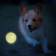 Jouet pour chien Nerf Dog LED launcher Air Strike