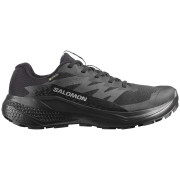 Chaussures femme Salomon Alphaglide Gore-Tex
