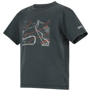 T-shirt enfant Regatta Alvarado Seal Grey