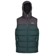 Gilet homme Regatta Nevado B/W vert / gris DkGry/GrnGab