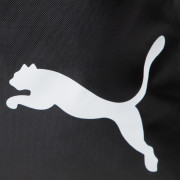 Sac Puma teamGOAL 23 Gym Sack