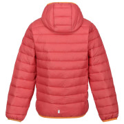 Veste d'hiver enfants Regatta Jnr Hooded Marizion