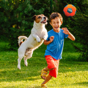Jouet pour chien Nerf Dog X-Weave Soccer Squeak Ball 12,5 cm