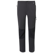 Pantalon homme Regatta Questra V gris / noir Ash/Black