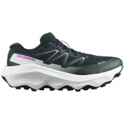 Chaussures running femme Salomon Ultra Flow 2 Gore-Tex