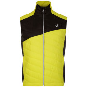 Gilet homme Dare 2b Touring Gilet jaune / noir NeonSpng/Blk