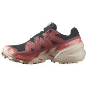 Chaussures femme Salomon Speedcross 6 Gore-Tex