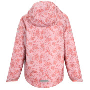 Veste enfant Regatta Printed Lever II PinHzGrdDis
