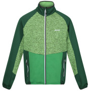 Sweat-shirt homme Regatta Coladane V green Jasmine Green/Field Green