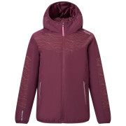 Veste d'hiver enfants Regatta Illuma Reflective Jacket Fig bordeau Fig
