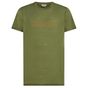 T-shirt fonctionnel homme Icebreaker M 150 Tech Lite SS Tee IBCoordinates vert Sphagnum