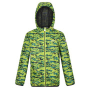 Veste enfant Regatta Printed Lever (2023) green BrightKiwCam