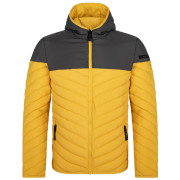 Veste homme Loap Jenda