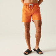 Short homme Regatta Mackleyna Swim Short