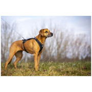 Laisse pour chien Curli Ultra Strong Pocket Leash