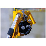 Antichute Petzl Asap