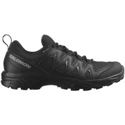 Chaussures homme Salomon X Braze Gore-Tex vert Black