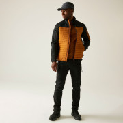 Veste homme Regatta Ceden Hybrid