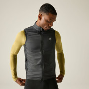 Gilet homme Dare 2b Chase Gilet