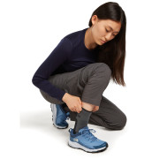 Chaussettes femme Icebreaker Women Merino Hike+ Medium Crew