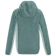 Sweatshirt enfant Regatta Skylar IvyMossOMist