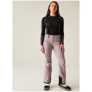 Pantalon de ski femme Dare 2b Diminish Pant