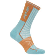 Chaussettes homme Icebreaker Men Merino Run+ Ultralight Mini