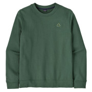 Sweat-shirt homme Patagonia M's Fitz Roy Massif Daily Crew vert Canopy Green